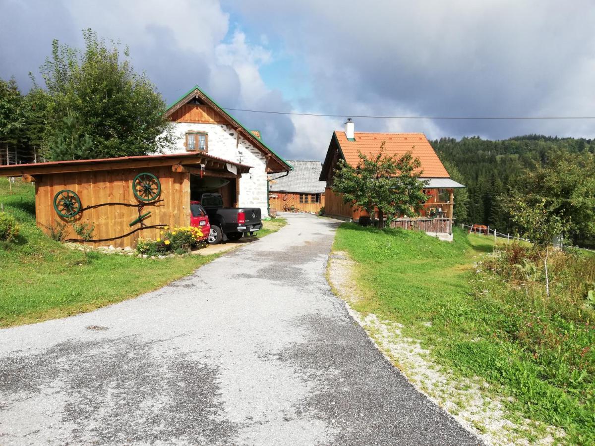 Ferienhaus Friedlhof Langschlag  Екстер'єр фото
