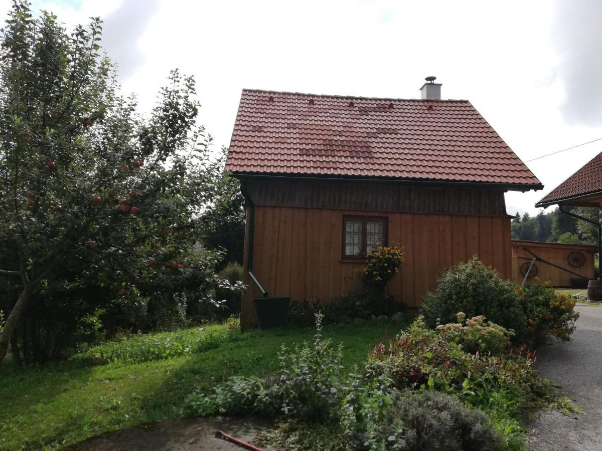 Ferienhaus Friedlhof Langschlag  Екстер'єр фото