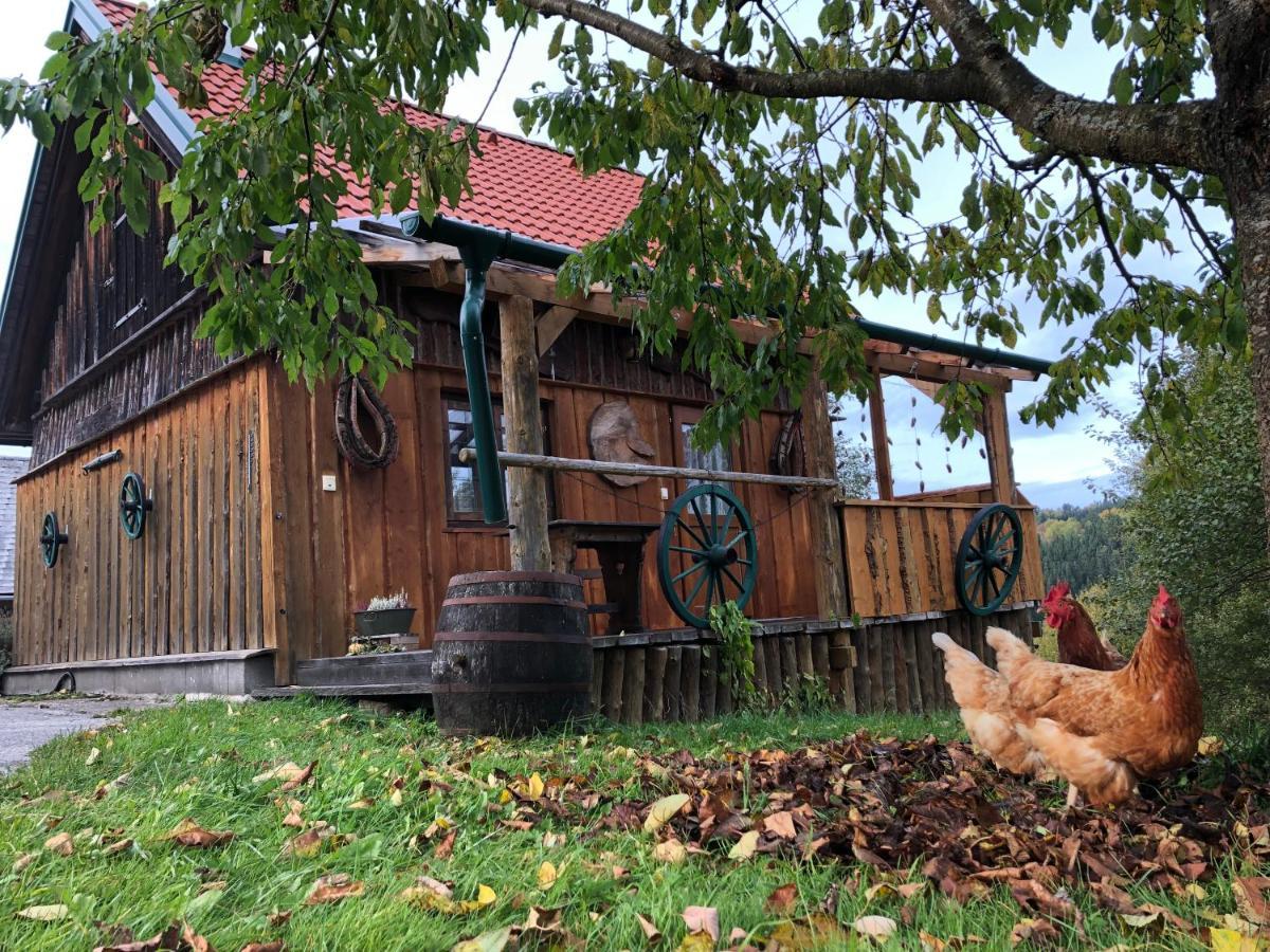 Ferienhaus Friedlhof Langschlag  Екстер'єр фото